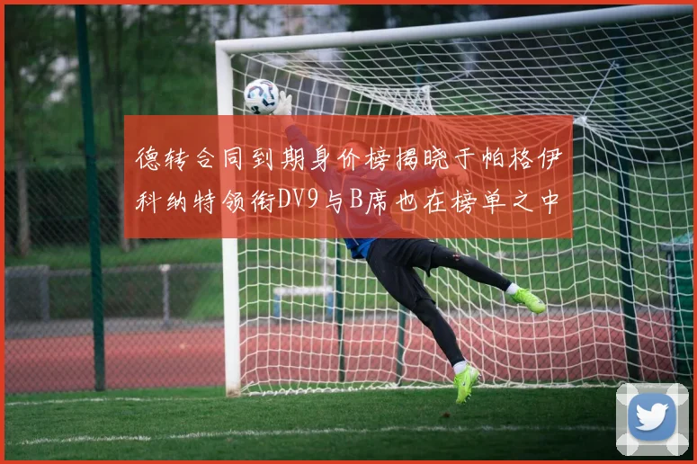 德转合同到期身价榜揭晓于帕格伊科纳特领衔DV9与B席也在榜单之中