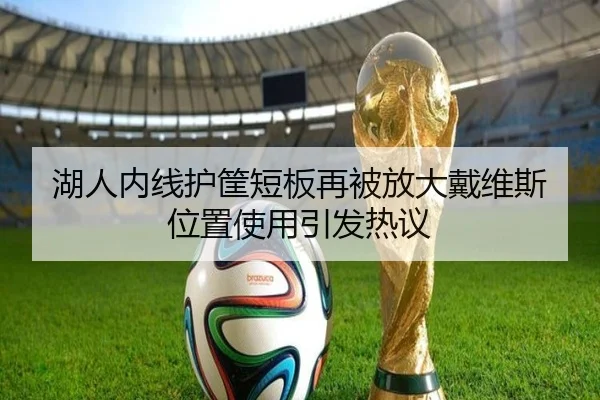 湖人内线护筐短板再被放大戴维斯位置使用引发热议 | leyu.com